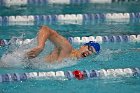 Swim vs Bentley  Wheaton College Swimming & Diving vs Bentley University. - Photo by Keith Nordstrom : Wheaton, Swimming & Diving